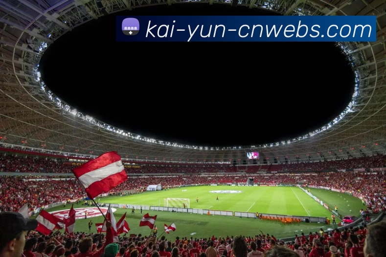 多媒体互动体验